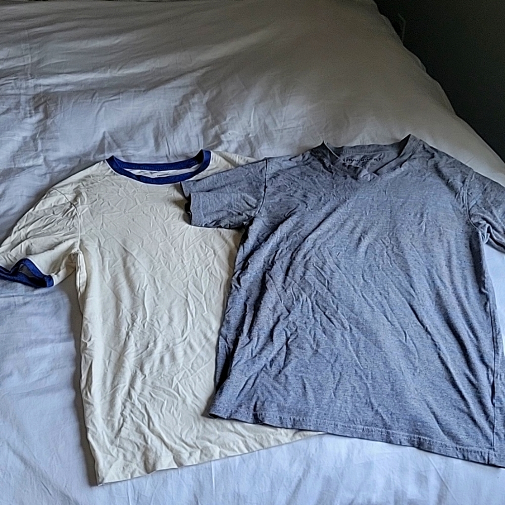Lot of 2 Men's Tees
